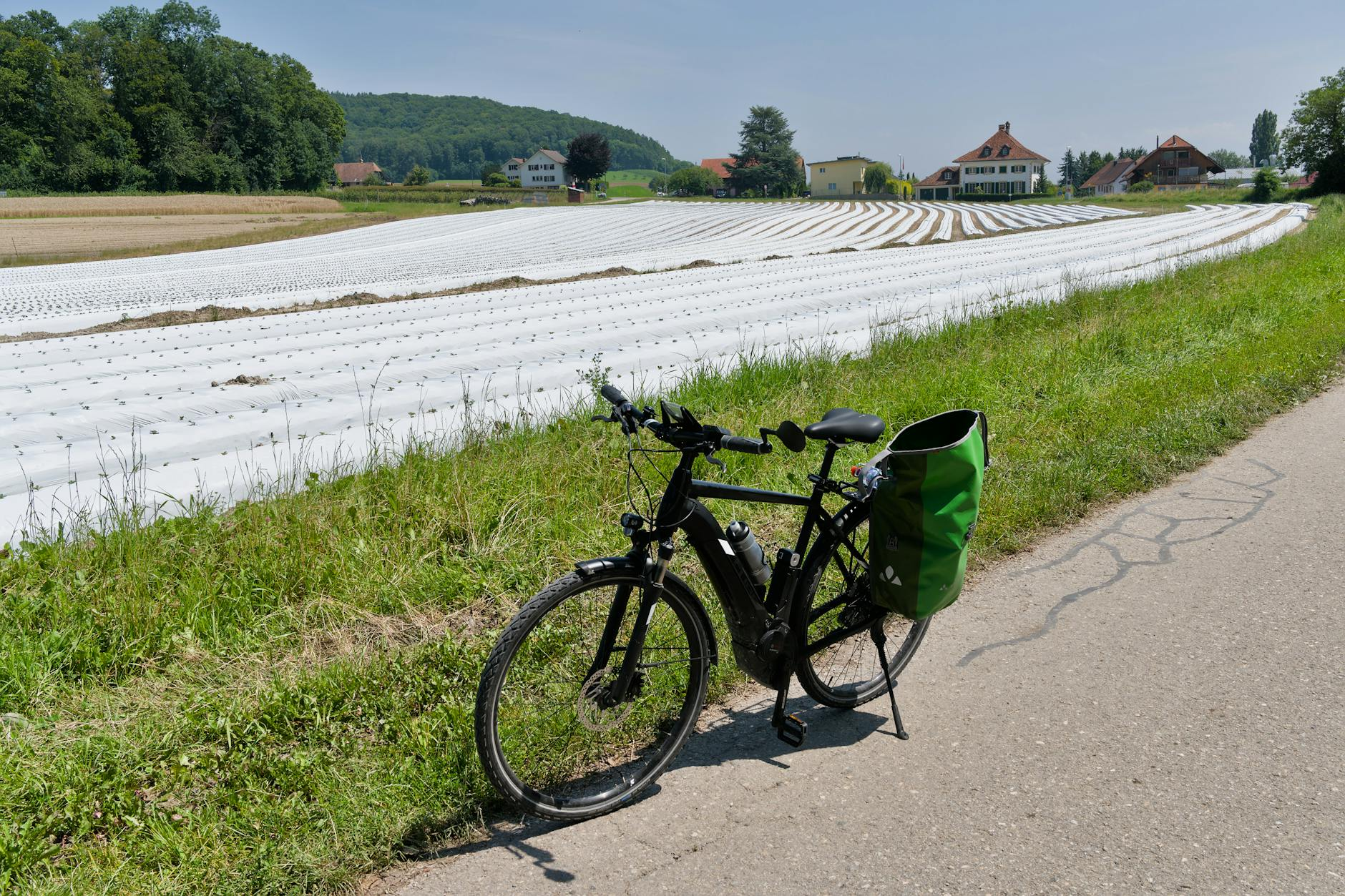 sustainable swiss bag