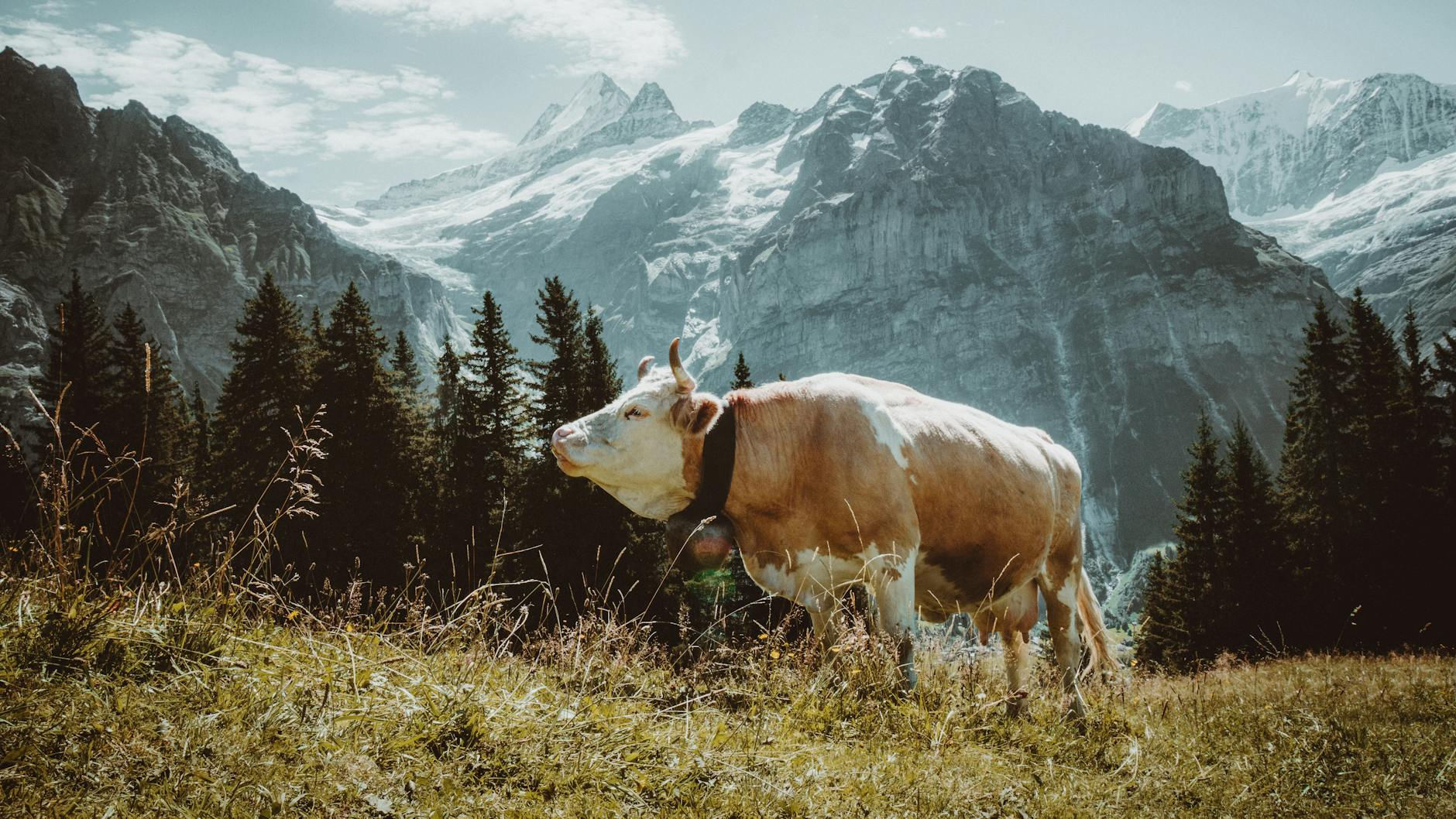 sustainable fashion Switzerland
