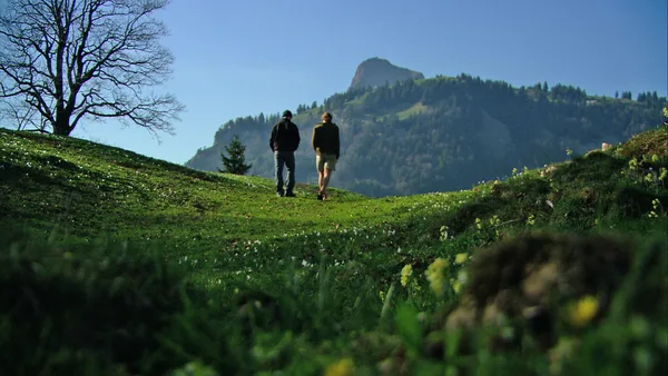 Die leise Revolution der Männerseelen: Naturrituale, die wirklich verändern