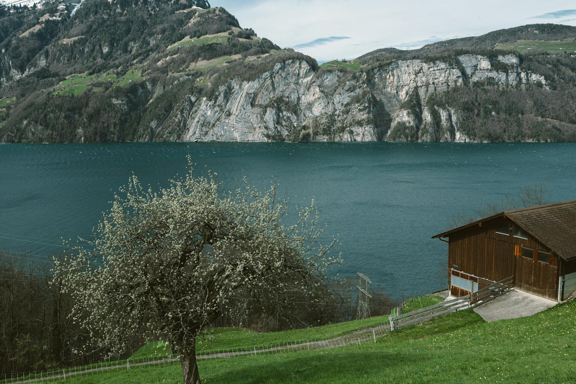 swiss water hardness hair